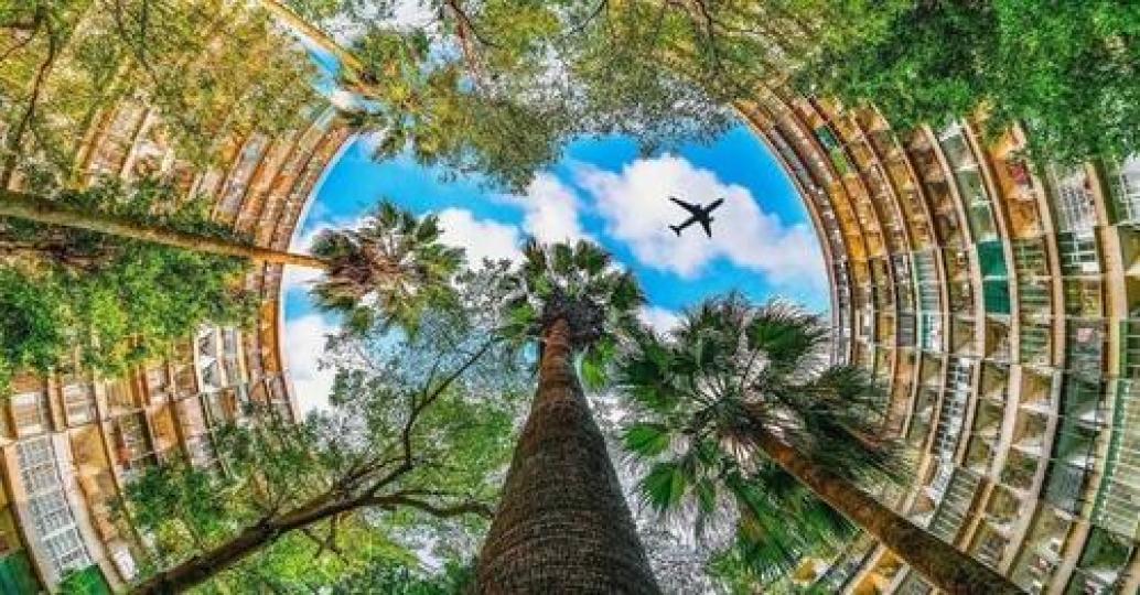 建築圈住天空的角度太美了...