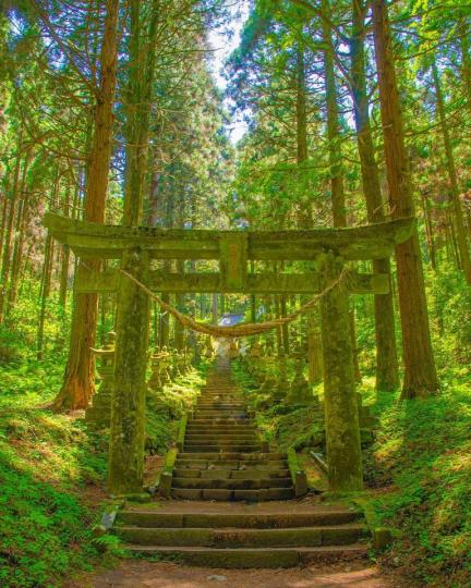森林系神社超空靈，往上走能量岩石更神秘...