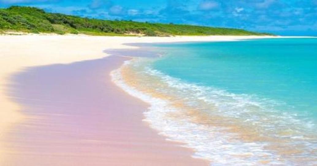 紫丁香色的沙灘也太浪漫～...