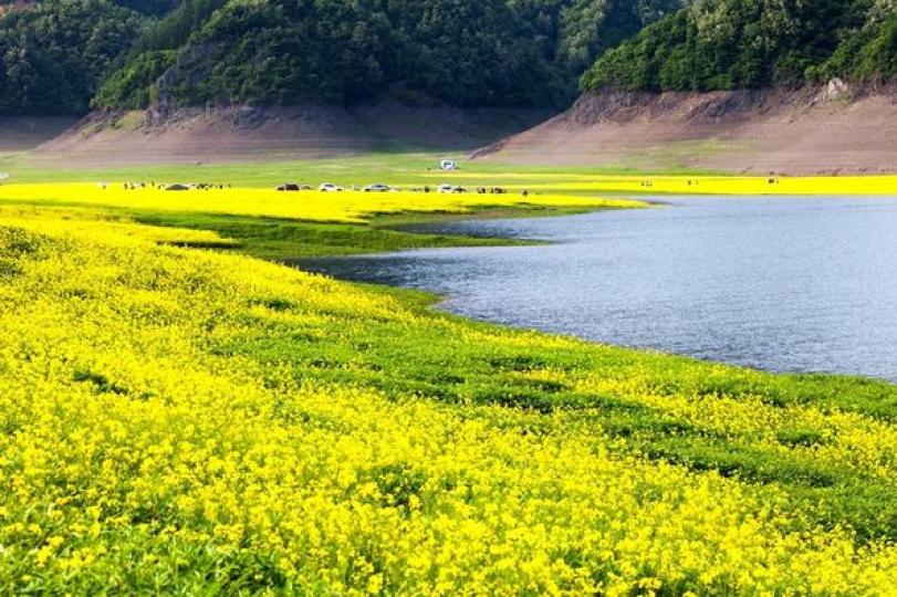 綠江村與朝鮮隔江相望......