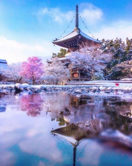 Kyoto Arashiyama Seiryo Temple this morning...