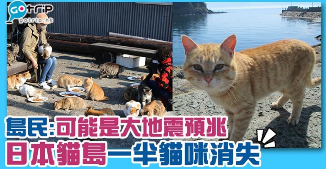 貓咪去哪兒呀？詳情：https://www.gotrip.hk/592560/...