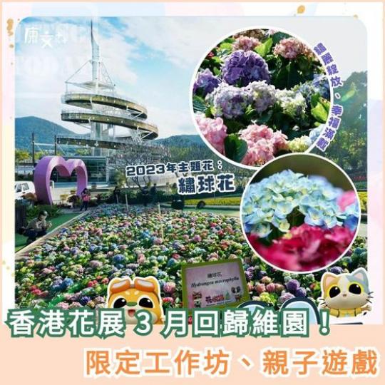 繡球花主題 
🪷 香港花卉展...