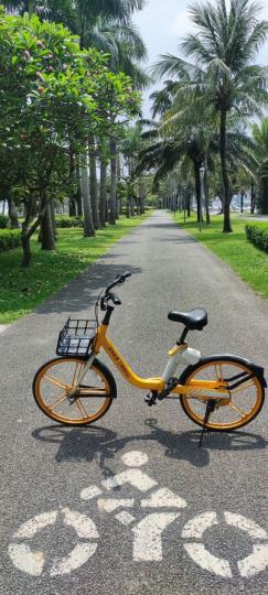 深圳灣公園, 踩下單車, 吹下海風, 鳥語花香...