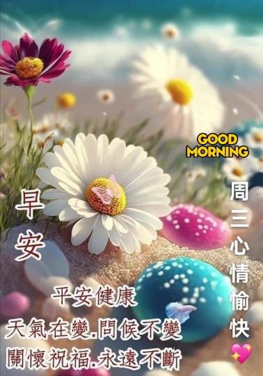 關懷祝福
永不斷，
周三好！...