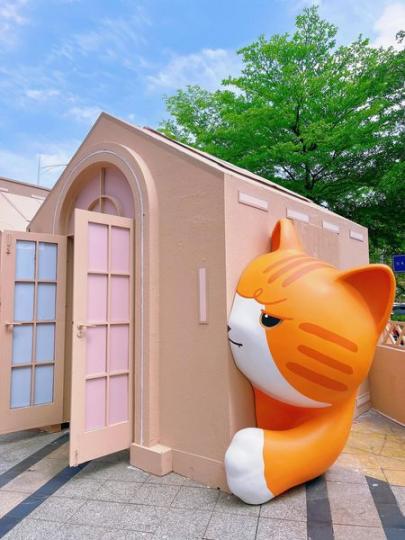 深圳可愛貓咪樂園.......