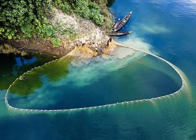 cast their giant nets over the lake...