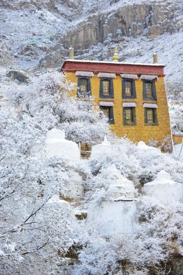 【西藏春雪】
踏入三月,香港全面回春,但在遠方西藏的帕邦喀,這個時節依然會下雪。藏廟、經輪、白雪,美不勝收。
王銘偉/圖... 【西藏春雪】
踏入三月,香港全面回春,但在遠方西藏的帕邦喀,這個時節依然會下雪。藏廟、經輪、白雪,美不勝收。
王銘偉/圖...