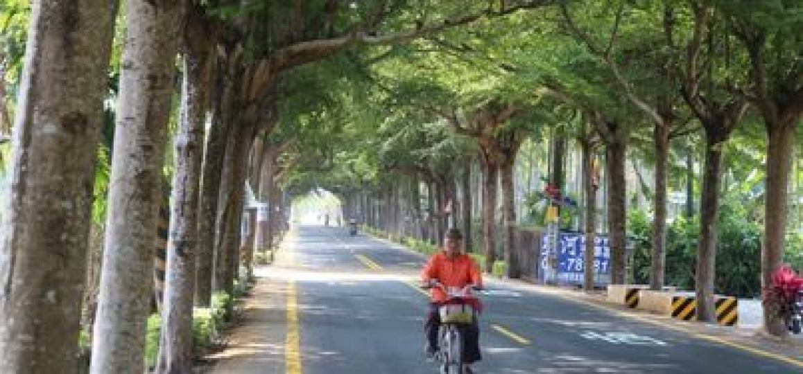 類似潮州泗林綠色隧道...