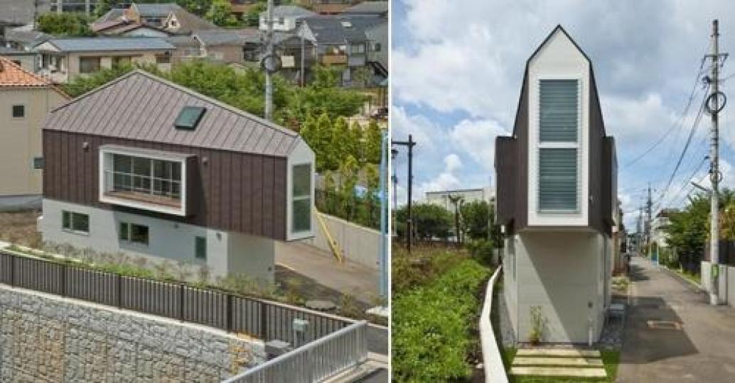 金針花開滿整片赤柯山，綠意加金黃的模樣美到無可比擬...