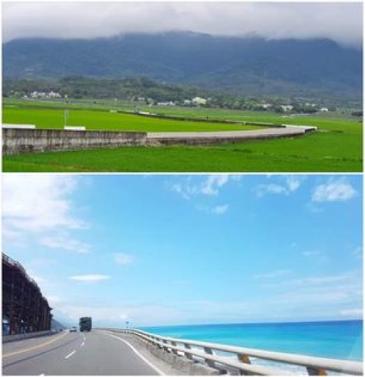 台東綠意盎然的稻浪和絕美太平洋藍...