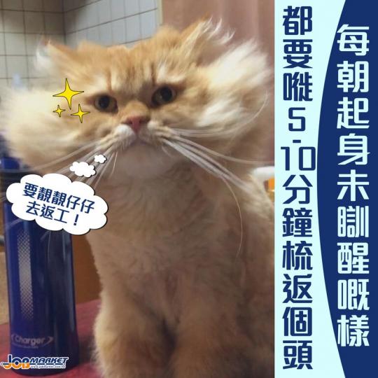 每朝起身都要嘥好多時間去打理頭髮......