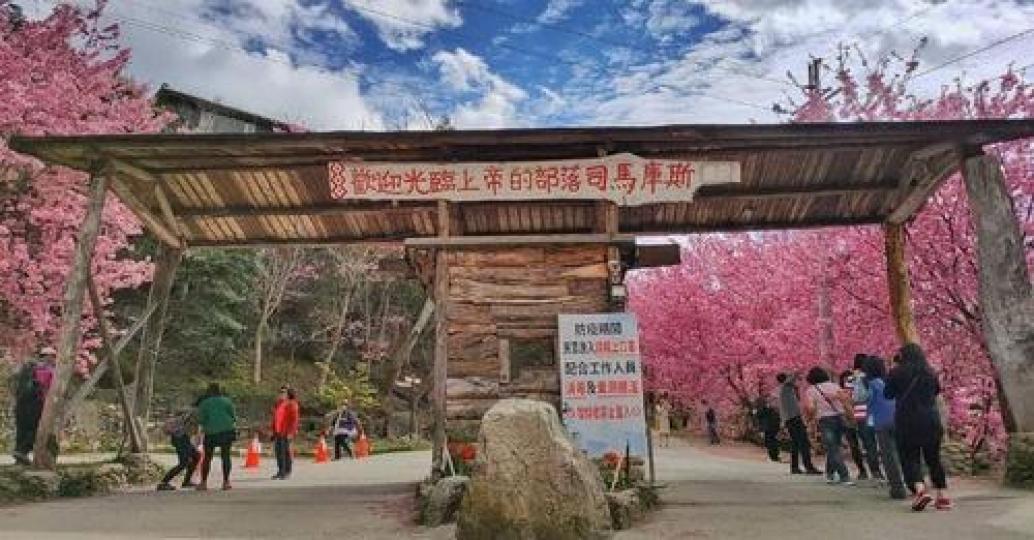 想要看櫻花的話現在就要開始預訂啦...