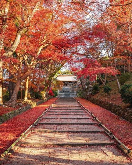毘沙門堂的紅葉階梯.......