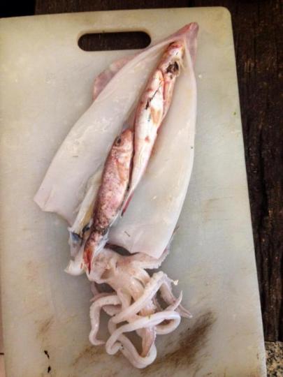 菜市場買透抽「剝開藏3條鮮魚」...