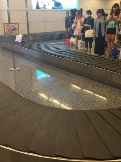 旁邊等拿行李的旅客OS：不好意思我要炙燒鮭魚...