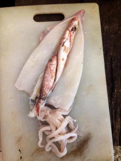菜市場買透抽「剝開見3條鮮魚」超新鮮嗨翻...