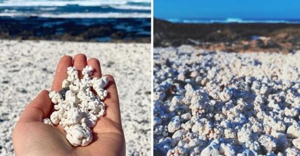 九天玄女會降落在這片海灘嗎？...