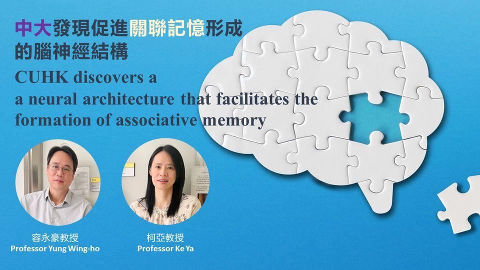 記憶對我們的生活至關重要...