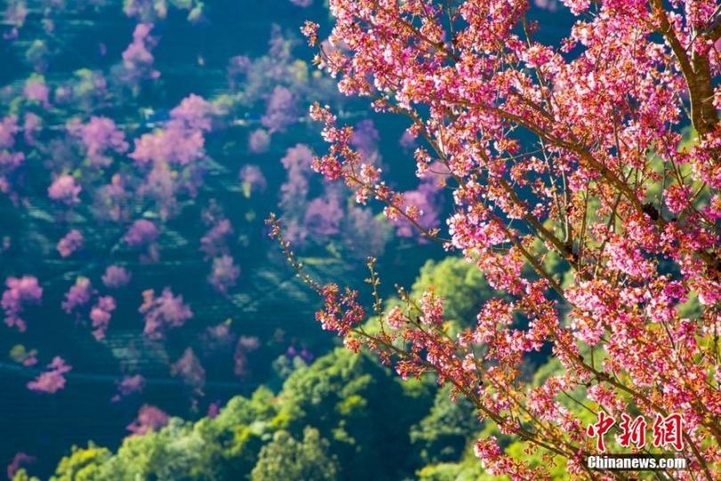 大理：目之所及皆為景...
