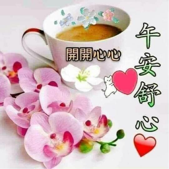 朋友午安！
開開心心！...