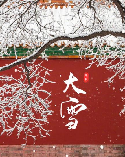 大雪 大雪 大雪 大雪......