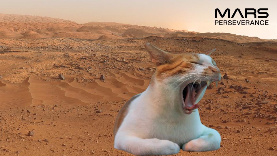 【一齊登陸火星】......