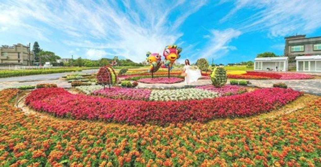 五顏六色的海芋花毯真的超美...
