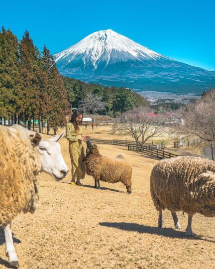 士山下的草原農場超夢幻...