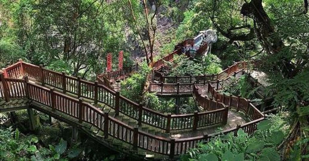 在樹蔭下的曲折步道，最適合夏季拜訪...