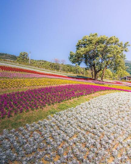 你敢搭嗎？高山間出現「世界最陡鐵道」...