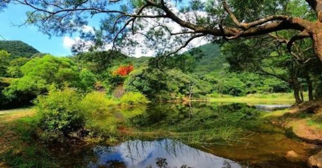 蔥蔥綠樹圍繞著靛綠色的湖水...