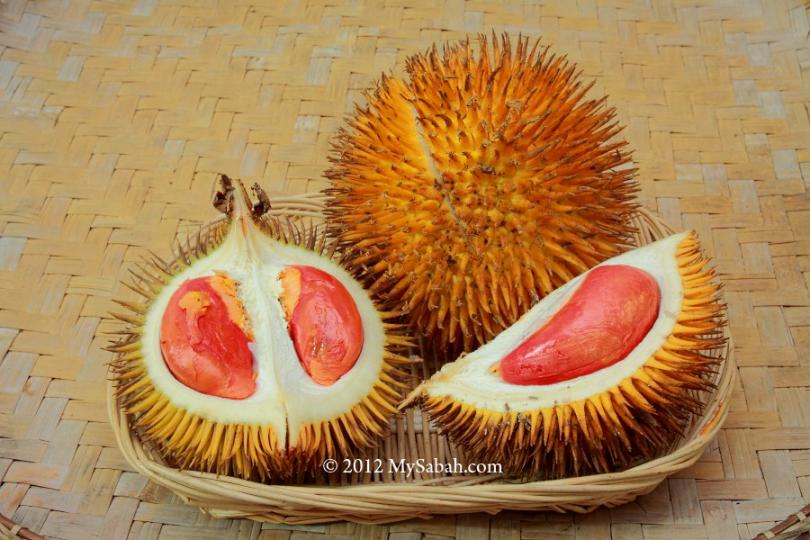 超罕見的「紅色榴槤」你有看過嗎...