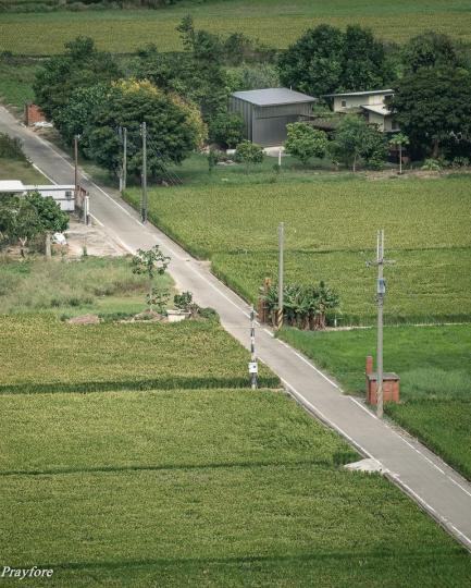 從鄭漢步道往下俯視，整齊的綠意盎然的稻田...