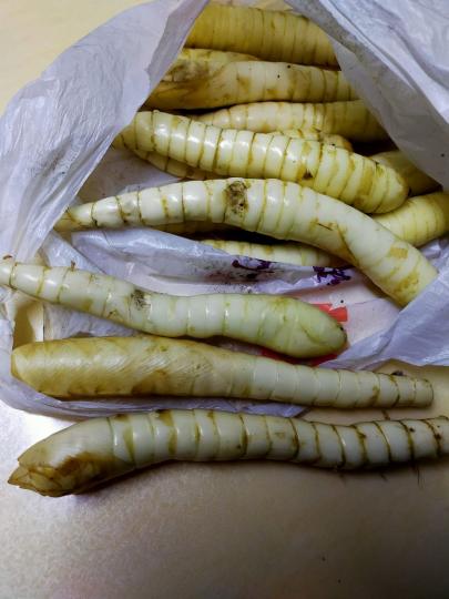 「外觀神似竹筍的食物」好奇問：這是什麼...內行人曝「直接蒸熟就超好吃」...