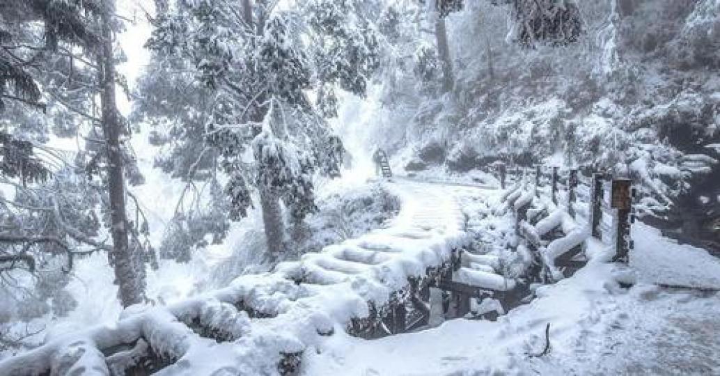 沒想到台灣也能看到這樣的夢幻雪景...