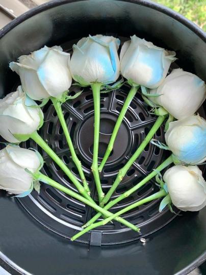 網上開始流行「把鮮花放進氣炸鍋」...