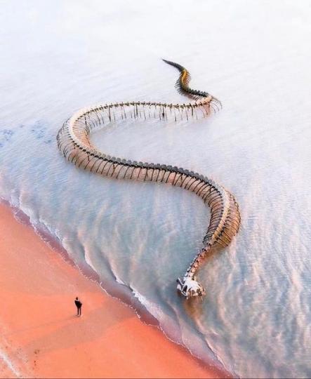 藝術家在盧瓦爾河擺出「海洋之蛇」...