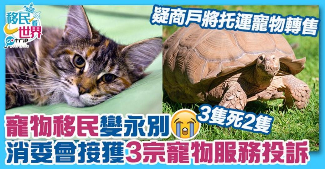 好慘啊詳情：https://www.gotrip.hk/588459/...