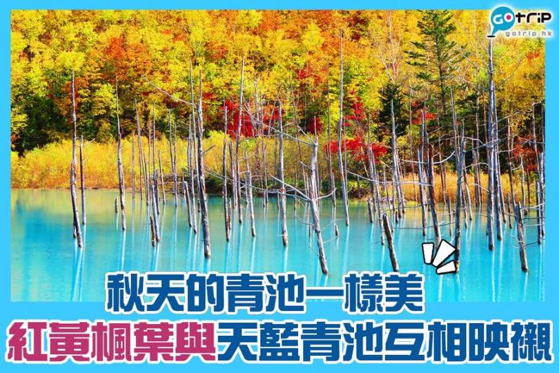 不少人冬天去北海道都一定去的青池，原來秋天紅葉加天藍色池水一樣美！青池初雪絕景: https://www.gotrip.hk/315472/ ‎...