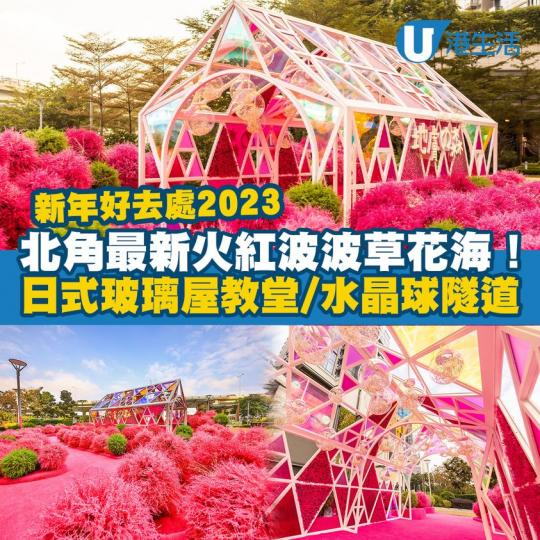 唔使飛日本茨城都睇到唯美的「波波草園」...