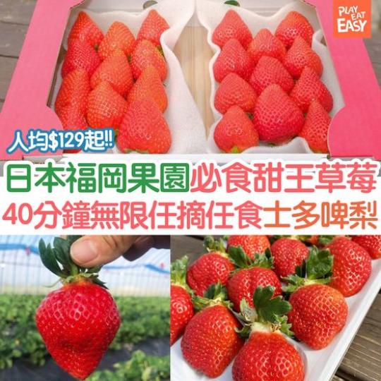 九州福岡士多啤梨果園推行40分鐘無限任摘任食士多啤梨，人均由$129起...