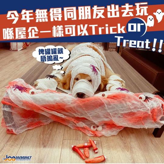 「見我咁落力打扮，點都俾多啲罐罐我啦~...