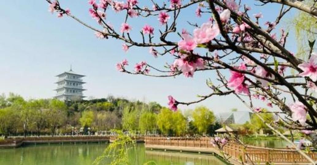 The peach blossoms, magnolia flowers, and Chinese crabapple flowers are in full bloom, creating a co... The peach blossoms, magnolia flowers, and Chinese crabapple flowers are in full bloom, creating a co...