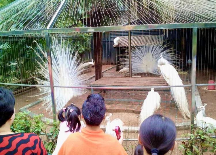 深圳野生動物園......