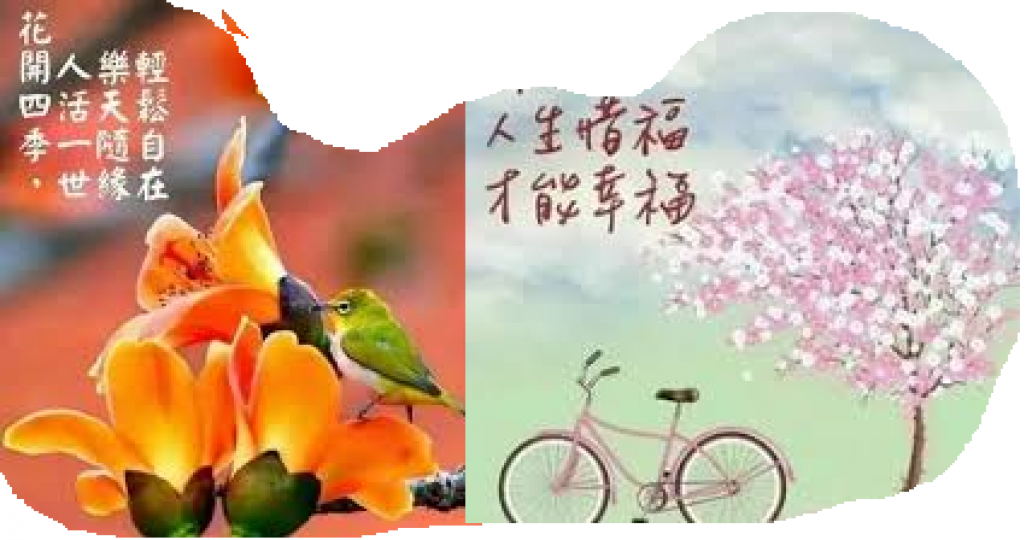 各位午安,
因為惜福, 所以幸福!...