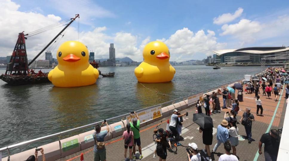 經充氣後，這隻橡皮鴨再次在維港海面展出...