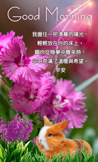 願清晨的陽光
送予您溫暖及
希望, 朋友早！...