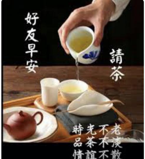 早晨，天氣很好，出去飲茶...