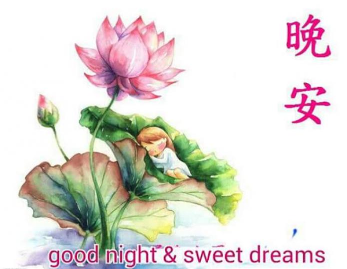 朋友晚安，
祝美夢甜
甜，健健
康康！...